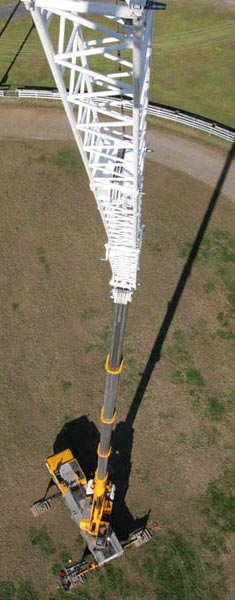 Crane view from top